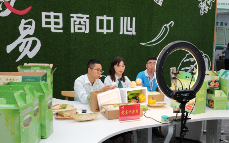 盐城生产力促进：城市创新发展的关键推进器